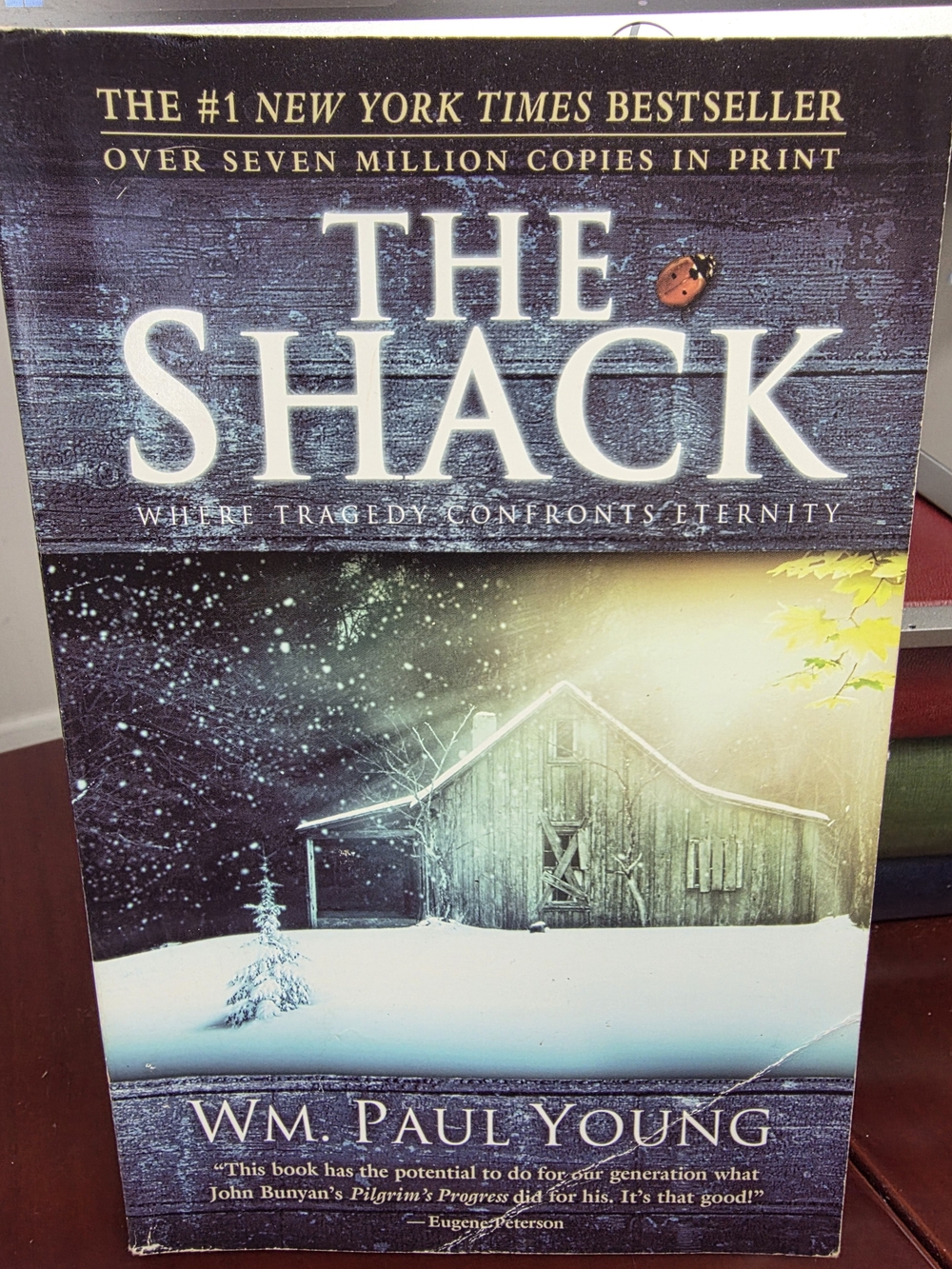 The Shack by Wm. Paul Young - Winter Cover - Blue/White